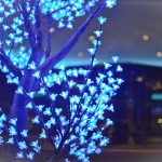 Beautiful Light Tree